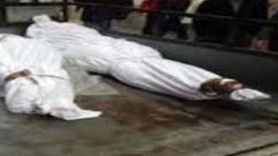 العثور على جثتين بطريق قرية بلشاى بكفر الزيات