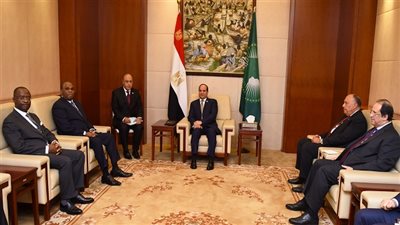 الرئيس السيسي يلتقي مع رئيس البنك الأفريقي للتصدير والاستيراد