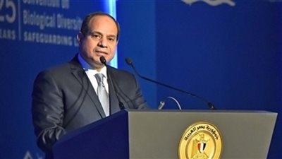 35 رسالة من السيسي للعالم بمؤتمر ميونخ للأمن