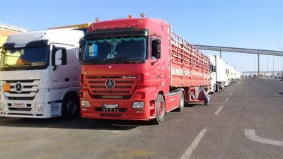  اليوم.. تداول 408 شاحنة بضائع و30 سيارة بموانىء البحر الاحمر