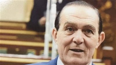النائب نافع هيكل: الأعمال الإرهابية لن تنال من إرادة المصريين