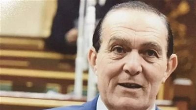 النائب نافع هيكل: انعقاد القمة العربية الأوروبية في مصر إنجاز جديد للرئيس السيسي 