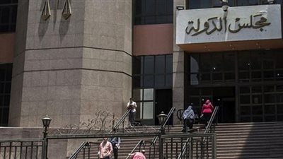 مجلس الدولة ينتهي من قانوني تنظيم أنشطة سوق الغاز وهيئة تمويل العلوم
