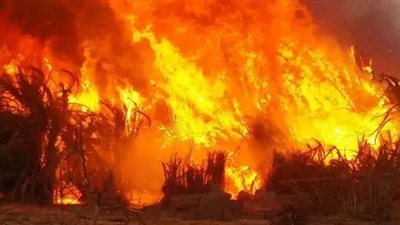 السيطرة علي حريق بأرض زراعية في احدى قرى أجا دقهلية