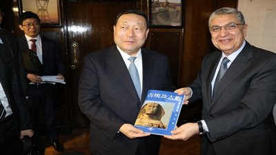 وزير الكهرباء يستقبل رئيس منظمة جيديكو