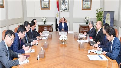 بسام راضي: الرئيس السيسي يستقبل رئيس منظمة التنمية والتعاون للربط العالمي للطاقة