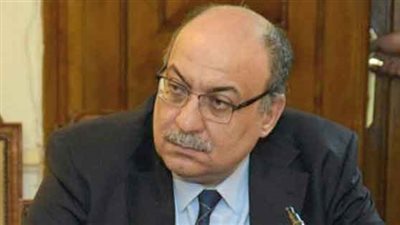 مدكور: مئات الآلاف من المواطنين لايستحقون الدعم التموينى