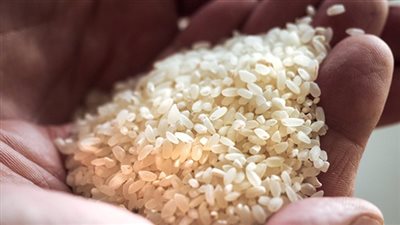 التموين: 9 جنيهات سعر كيلو الأرز الصيني بالمجمعات الاستهلاكية