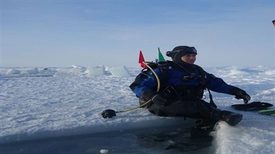 الرياضيات السعوديات تتالق في المحافل العربية والدولية