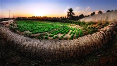 أمير المنطقة الشرقية بالسعودية يقيم حفل مساء اليوم لاختيار الأحساء عاصمة للسياحة العربية 2019