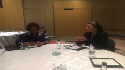 وزيرة البيئة تناقش دعم المبادرة المصرية لدمج الاتفاقيات البيئية الثلاثة بجوهانسبرج