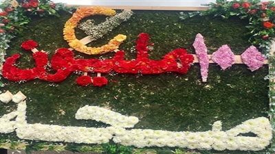 الدقهلية تتصدر  في 100 مليون صحة