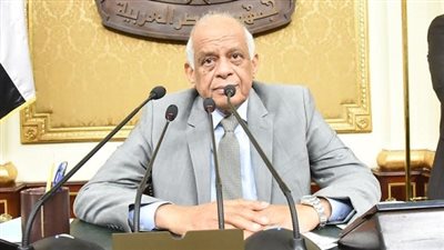 رئيس البرلمان ووزير الخارجية يصلان إلى مطار القاهرة عائدين من أسوان