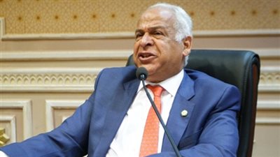 برلمانى يشيد بحملات إزالة التعديلات على نهر النيل