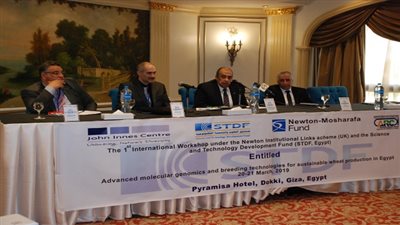 وزير الزراعة يفتتح فعاليات ورشة عمل الاتجاهات الحديثة في زيادة انتاجية القمح