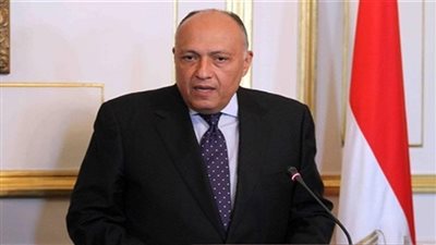 شكري: ليس لدينا شروط لعودة سوريا إلى الجامعة العربية