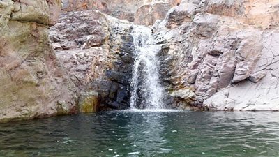 محافظة وادي الفرع بالمدينة المنورة تتوشح باللون الأخضر