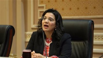 برلمانية: قرار السيسي بشأن حكم «المعاشات» دليل على حرصه بإصلاح المنظومة