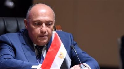 الخارجية: الجولان أرض عربية محتلة وفقا لمقررات الشرعية الدولية