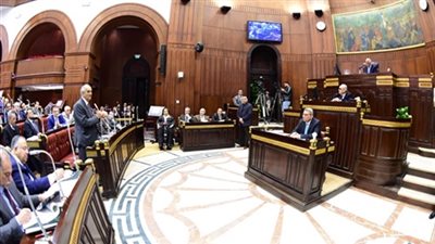 البرلمان: انتهاء إجراءات تعديل الدستور داخل المجلس منتصف أبريل