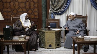 مفتي نيجيريا: جهود الأزهر في أفريقيا تسهم بقوة في مواجهة جماعات الإرهاب