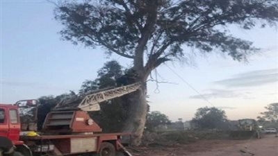 هبوط ارضي بسبب سوء الطقس بالدقهلية