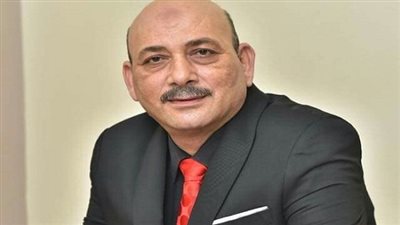 برلمانى: المرأة المصرية أعظم الأمهات فى العالم