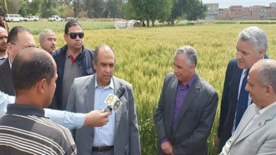 أبوستيت يطمئن على محصولي القمح والبصل بمحافظة الشرقية