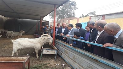 وزير الزراعة يواصل زيارته لمحافظة الشرقية بزيارة مزرعة ومصنع للإنتاج الحيواني المتكامل