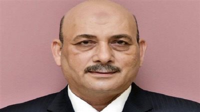 برلمانى: اختزال التعديلات الدستورية فى مدة الرئاسة مغاير للواقع