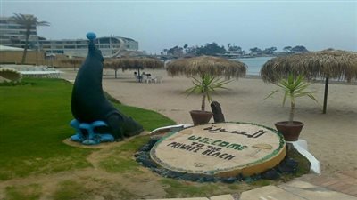 المعمورة في ثوبها الجديد.. إستعداداً لإحتفالات الربيع وشم النسيم 