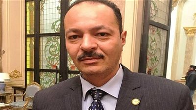 برلمانى يشيد بجهود مكتب التضامن في محافظة المنيا