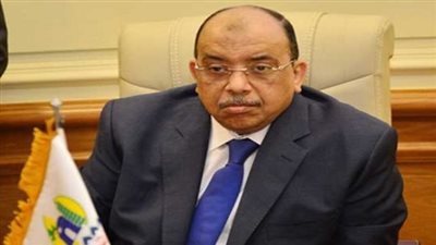 شعراوي: تخصيص 412 قطعة أرض بالتنسيق مع الزراعة للمشروعات الصناعية