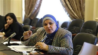 برلمانية: ملفات القمة المصرية الأمريكية تمس المنطقة العربية واستقرارها