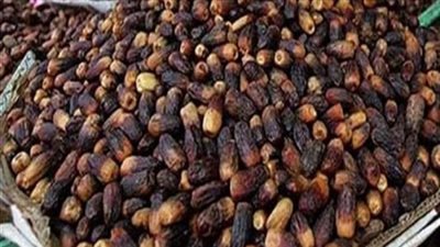 ضبط 31 طن منتجات ألبان و22 طن تمور غير صالحة للاستخدام بالجيزة