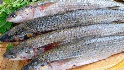 تعرف على مفاجأة  