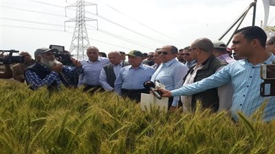 وزير الزراعة يتفقد محصول القمح بمحطة بحوث سخا في كفر الشيخ 