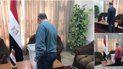 المصريين بالخارج 