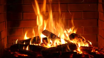 السبب تافه.. أغرب جريمة قتل