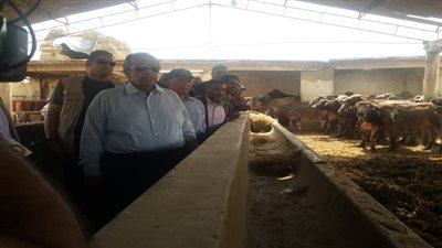 وزير الزراعة يتفقد مزارع قطاع الإنتاج ومنطقة تحسين الأراضي ومحطة إعداد التقاوى بكفر الشيخ