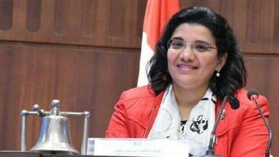 برلمانية لقوات الجيش والشرطة: كنتم على قدر المسئولية في تأمين الاستفتاء