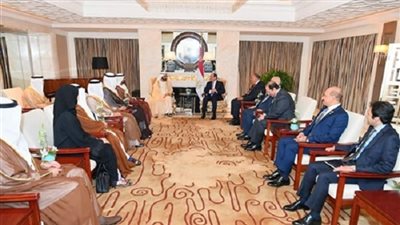 بن راشد بعد لقاء السيسى: نسعى للتنسيق مع رئيس أكبر دول المنطقة