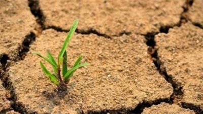 الحكومة ترد على أنباء تآكل رقعة مصر الزراعية وزيادة تصحر أراضيها