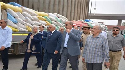 محافظ الدقهلية.. جولة في صوامع ميت غمر  