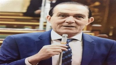 النائب نافع هيكل يطالب بضرورة استغلال بطولة «الأمم الأفريقية» للترويج للسياحة المصرية