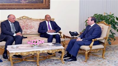  الرئيس السيسي يستقبل المدير التنفيذي لوكالة الاتحاد الأفريقي للتنمية/ النيباد