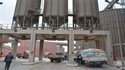 محافظ الدقهلية.. توريد ٧٤ الف طن قمح بالمحافظة