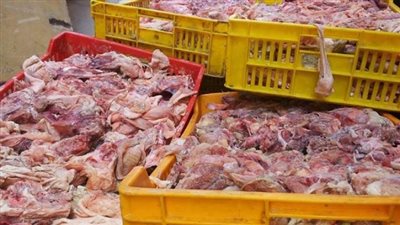 مباحث التموين تضبط دواجن فاسدة قبل بيعها للمواطنين في المقطم