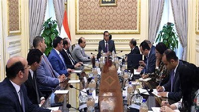 رئيس الوزراء يلتقي الرئيس التنفيذي لشركة 