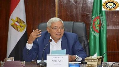 محافظ الدقهلية.. 100 ألف طن قمح تم توريدها للصوامع والشون 